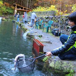 小菅トラウトガーデン 釣果