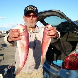 大進丸(新潟) 釣果