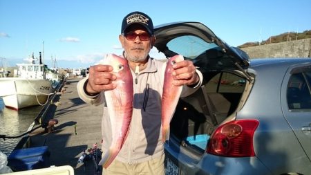 大進丸(新潟) 釣果