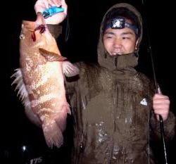 シーマジカル 釣果