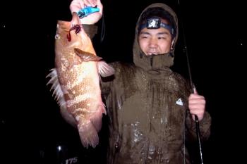 シーマジカル 釣果