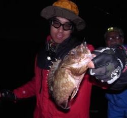 シーマジカル 釣果