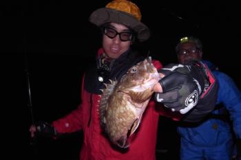 シーマジカル 釣果