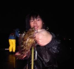 シーマジカル 釣果