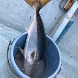 八海丸 釣果