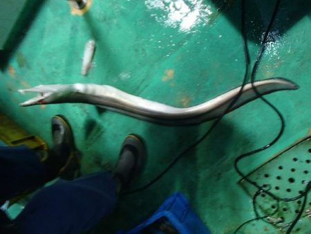 第二むつ漁丸 釣果