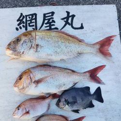 網屋丸 釣果