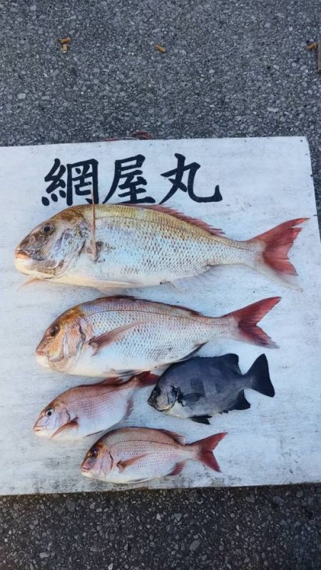 網屋丸 釣果