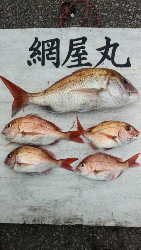 網屋丸 釣果