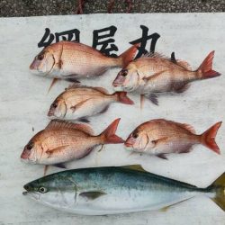 網屋丸 釣果