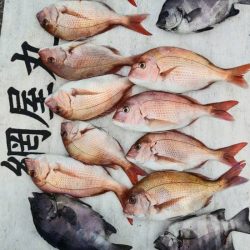 網屋丸 釣果