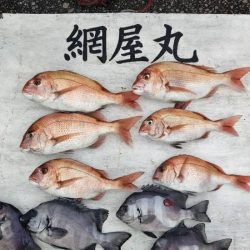 網屋丸 釣果
