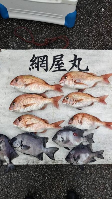 網屋丸 釣果