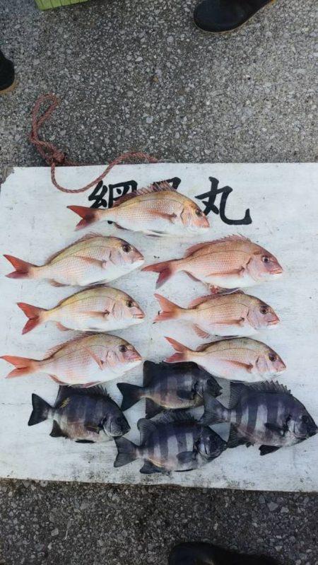 網屋丸 釣果
