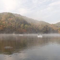 フィッシングレイクたかみや 釣果