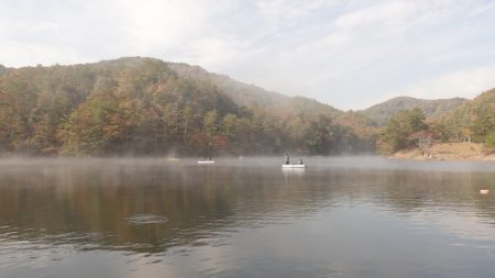 フィッシングレイクたかみや 釣果