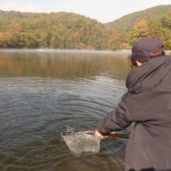 フィッシングレイクたかみや 釣果