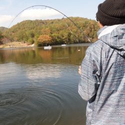 フィッシングレイクたかみや 釣果