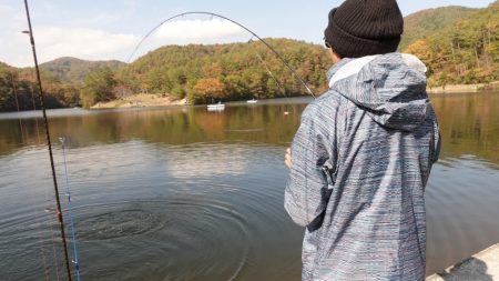 フィッシングレイクたかみや 釣果