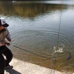 フィッシングレイクたかみや 釣果