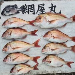網屋丸 釣果