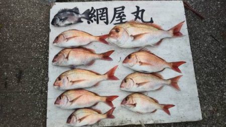 網屋丸 釣果