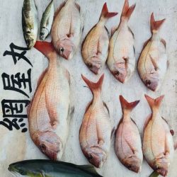 網屋丸 釣果