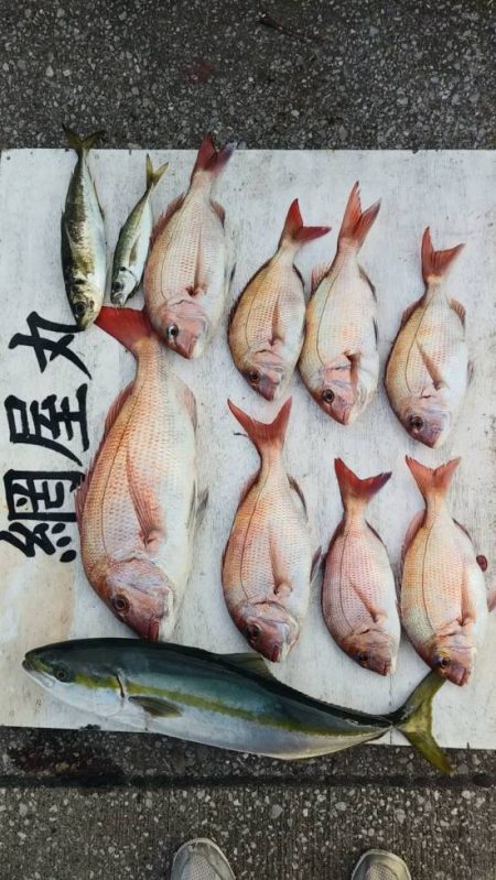 網屋丸 釣果