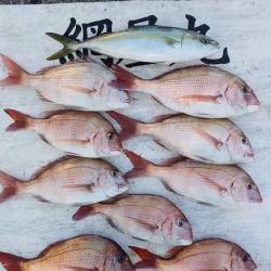 網屋丸 釣果