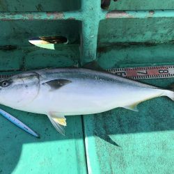 広進丸 釣果