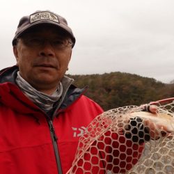 フィッシングレイクたかみや 釣果