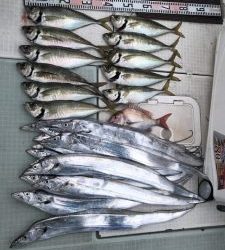 さぶろう丸 釣果