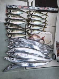 さぶろう丸 釣果
