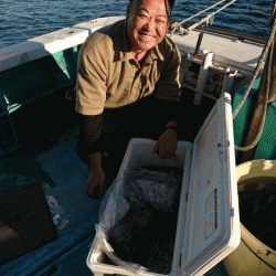 清和丸 釣果