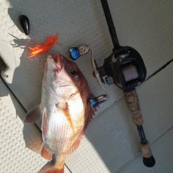 遊漁船 ニライカナイ 釣果