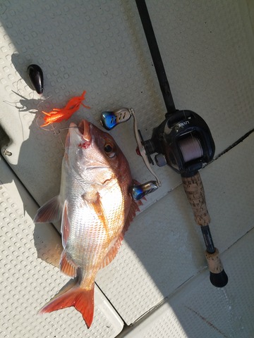 遊漁船 ニライカナイ 釣果