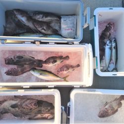 気仙沼　つり丸 釣果