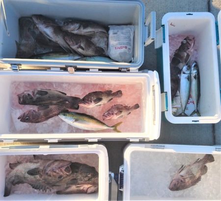 気仙沼　つり丸 釣果