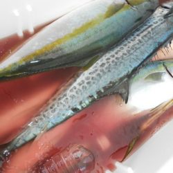 こうゆう丸 釣果