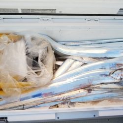 遊漁船 ニライカナイ 釣果