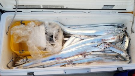 遊漁船 ニライカナイ 釣果