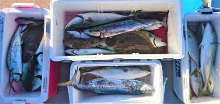 気仙沼　つり丸 釣果