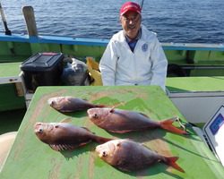 久里浜黒川本家 釣果