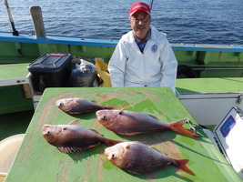 久里浜黒川本家 釣果