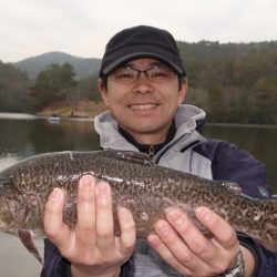 フィッシングレイクたかみや 釣果