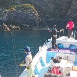 海晴丸 釣果
