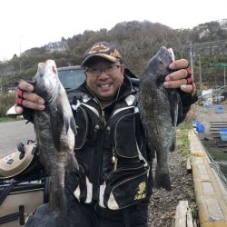由良渡船 釣果