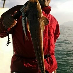 フィッシングガイド りょう 釣果