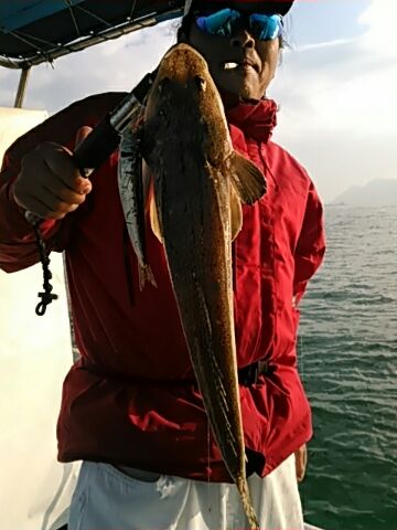 フィッシングガイド りょう 釣果