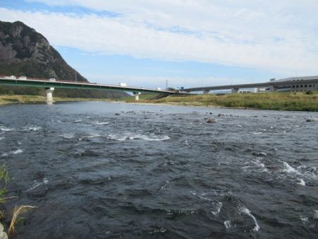 狩野川(狩野川漁業協同組合) 釣果